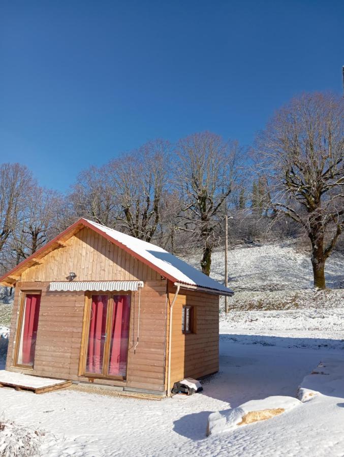 La P'Tite Maison Bois Du Herisson Menetrux-en-Joux Buitenkant foto