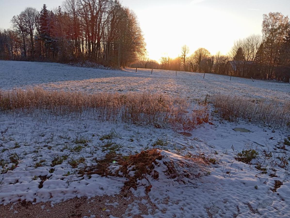 La P'Tite Maison Bois Du Herisson Menetrux-en-Joux Buitenkant foto
