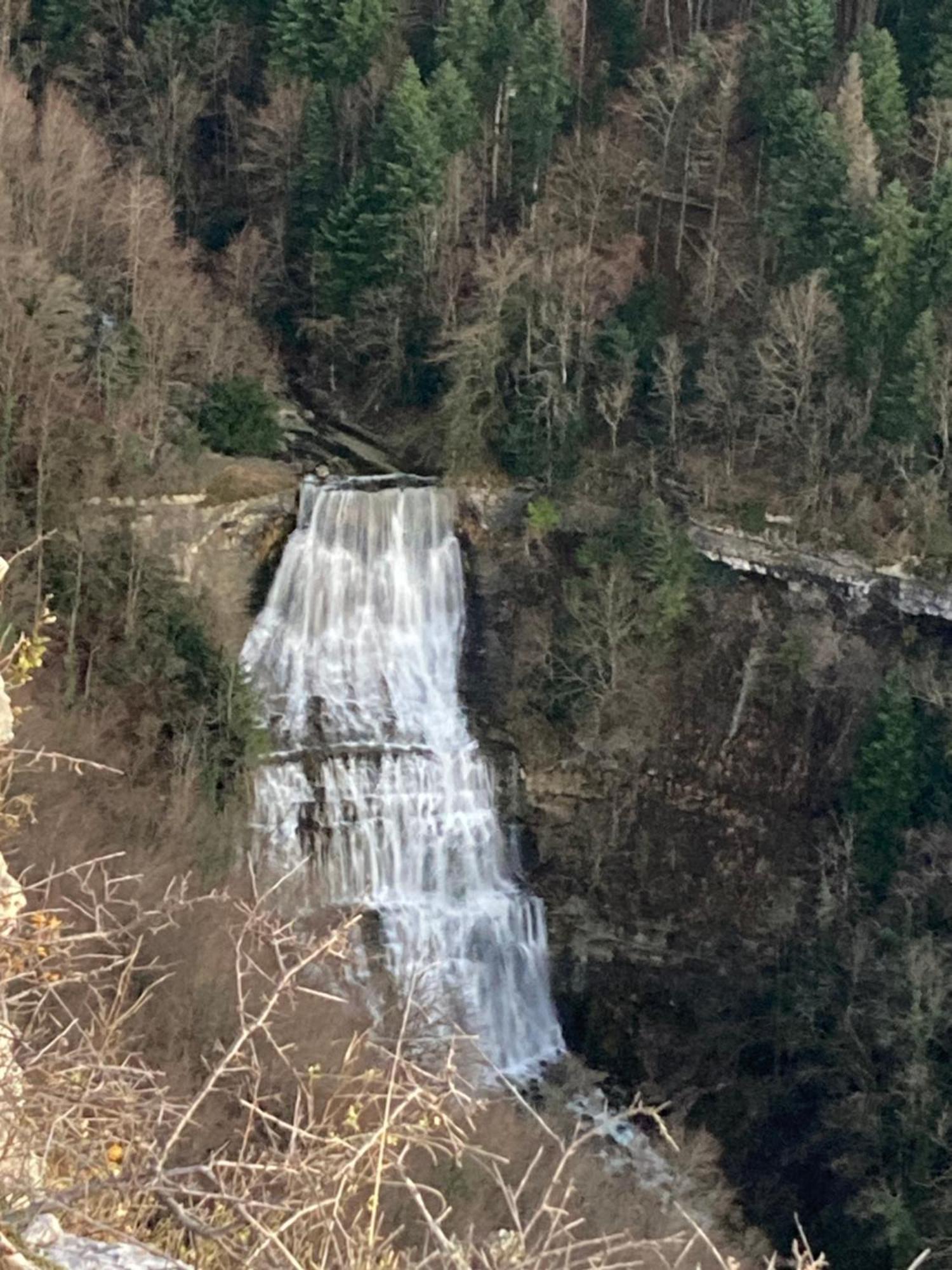 La P'Tite Maison Bois Du Herisson Menetrux-en-Joux Buitenkant foto